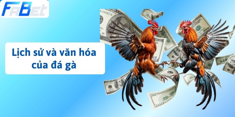 Lịch sử và văn hóa của đá gà