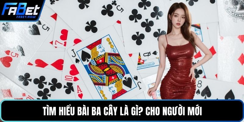 Tìm hiểu bài ba cây là gì? cho người mới