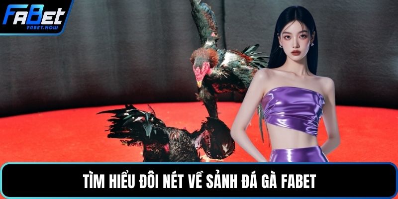 Tìm hiểu đôi nét về sảnh đá gà FABET