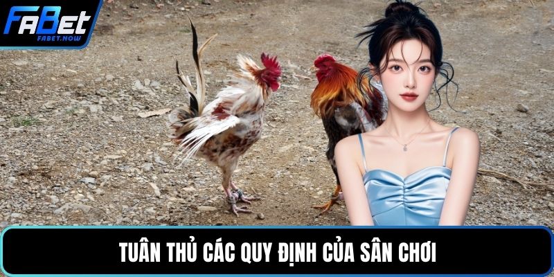 Tuân thủ các quy định của sân chơi